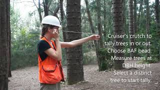 Forest Inventory - Plots & Transects (field measurements)