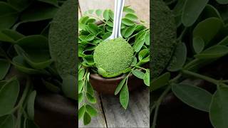 మునగ Moringa Benefits #morning #drumsticks #facts#shorts #healthtips#vegetables #readytoeatyummyfood