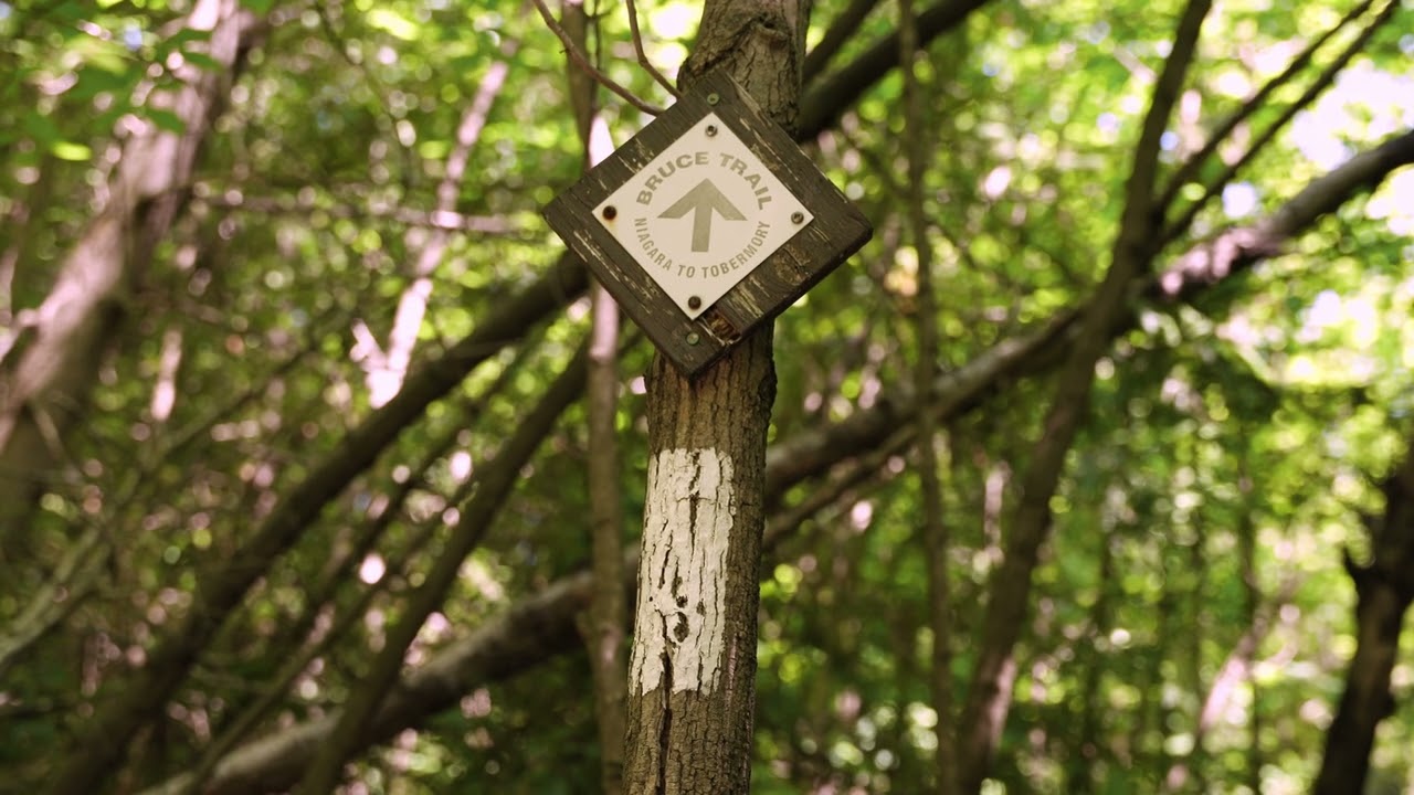 The Dufferin Hi-Land Bruce Trail (Mulmur Section)