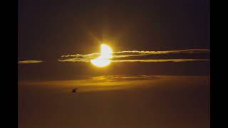 Partial Solar Eclipse