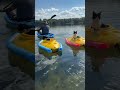 Double trouble on the water 💦 #catboat #catkayak #lifeisbutadream #cute #watercat #kayaking
