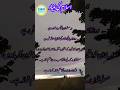 Islam Ki Bunyad | Five Pillars (Arkaan) of Islam with Nature Ambience 🌿 #shorts