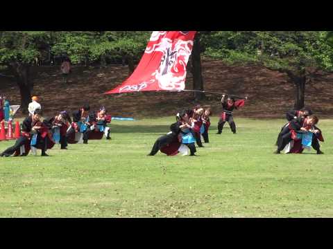 真舞會／芝生流し会場／あっぱれ富士2015