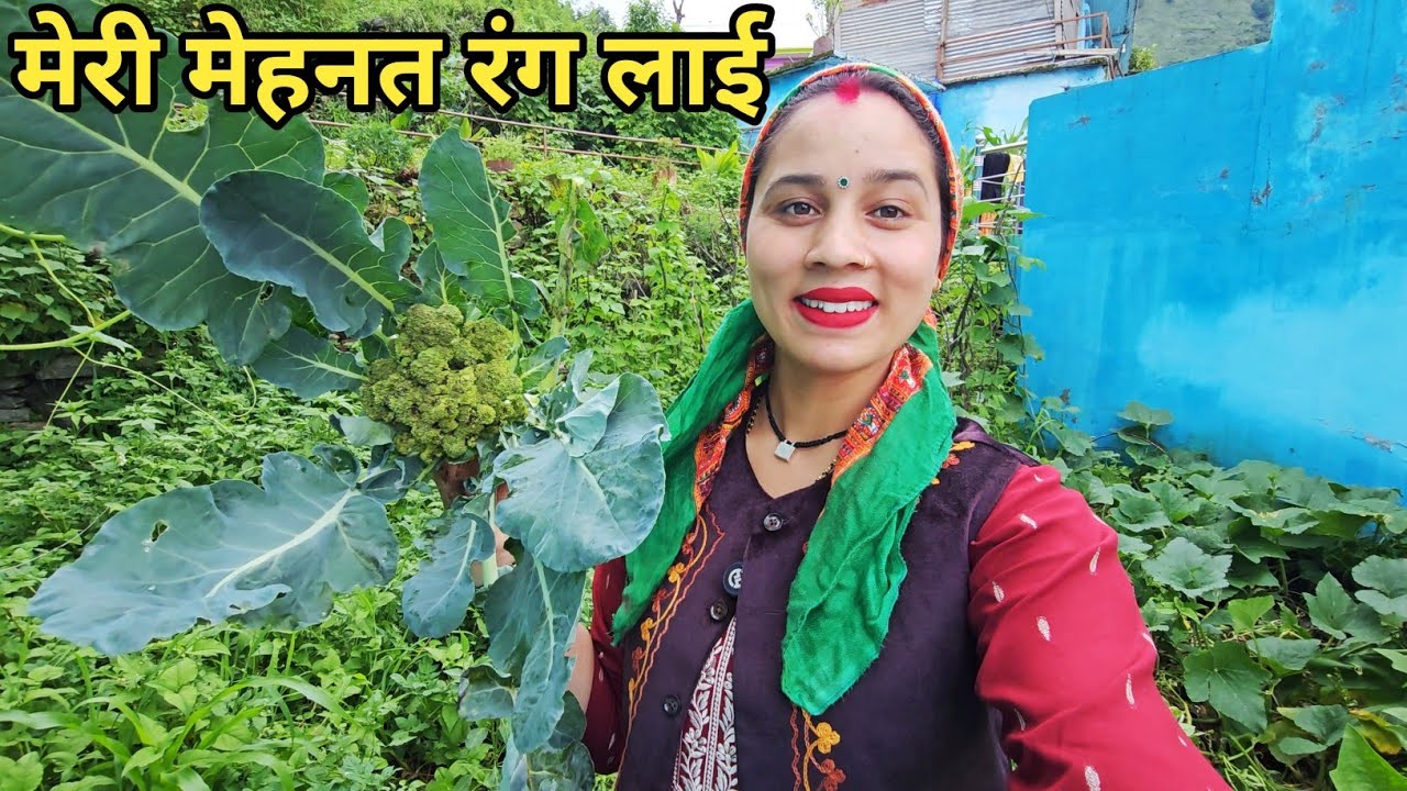 सब्जियों की भरमार  बैंगन, ब्रोकली, आलू — मेरे Organic Garden से |Preeti Rana |Pahadi lifestyle vlog 