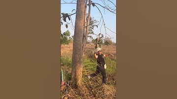 😲 wow #funny #comedy #prank #fun #memes #couples #stitch #humor