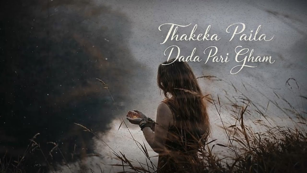 Thakeka Paila & Dada Pari Gham || new Nepali song playlist || sentimental song