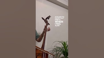 Thumbnail of Billie eilish Lovely - Morin khuur (horse head fiddle) #morinkhuur #lovely #billieeilish #love