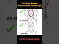 Fix Your Anime Proportions Instantly!
