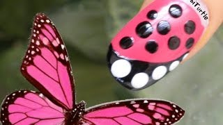 step nail butterfly easy beginners tutorial inspired tool