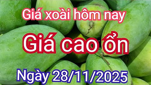 giá xoài hôm nay ngày 28/11/2025