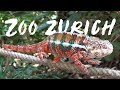 Zoo Zurich - Switzerland 2018