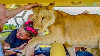 THIS LIONESS IS UNIQUE