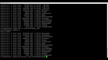 How to Fix cannot open Packages database in /var/lib/rpm