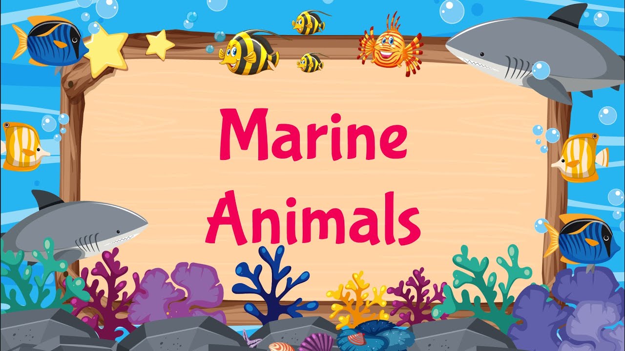 Marine Animals / Sea Animals For kids – Preschool Learning Videos