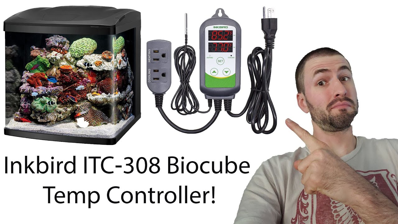 Inkbird ITC-308 Temperature Controller Review - Spec-Tanks