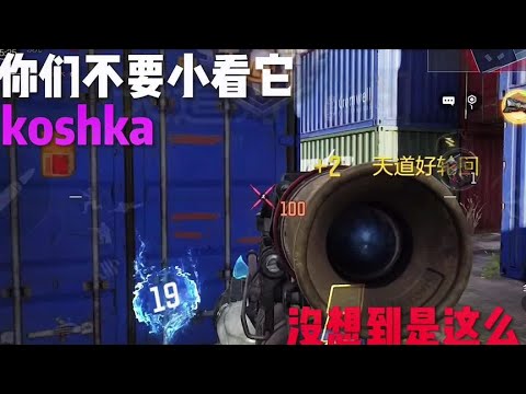 【使命召唤手游】国一剑鱼的配件你们觉得怎么样呢 #使命召唤手游 #Z9使命召唤