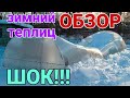 ОБЗОР!!! Ревизия теплиц зимой. Зачем снег в теплице???