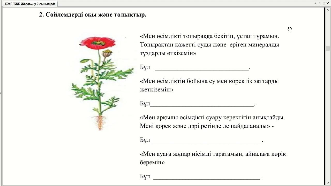 Мас үй шаруасындағы әйелдердің порносы