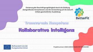 DE BETTER FIT Collaborative Intelligence