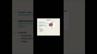 Ch 13 General Virology Lecture