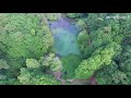 神戸市市立森林植物園 の動画、YouTube動画。