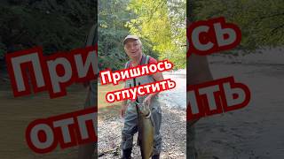 Рыбнадзор 😂 #муська #рыбнадзор #прикол #рыбалка #fishing #funny #epic #мемы #shorts#trending