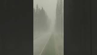 Storm Chasing:  Hailcore Whiteout #shorts #stormchasing #severeweather