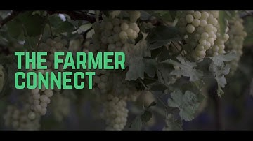 The Farmer Connect