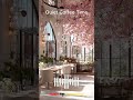 Quiet Coffee Time - Spring Cafe Music ☕ 봄 카페 음악 힐링 플레이리스트