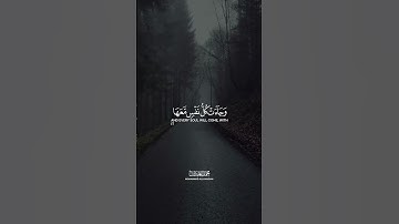 تلاوة من ليلة 27 رمضان للقارئ محمد اللحيدان، { وَجَاۤءَتۡ سَكۡرَةُ ٱلۡمَوۡتِ بِٱلۡحَقِّۖ }