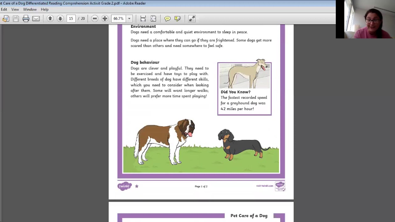 Grade 2. Reading Comprehension. Pet Care of a Dog - YouTube