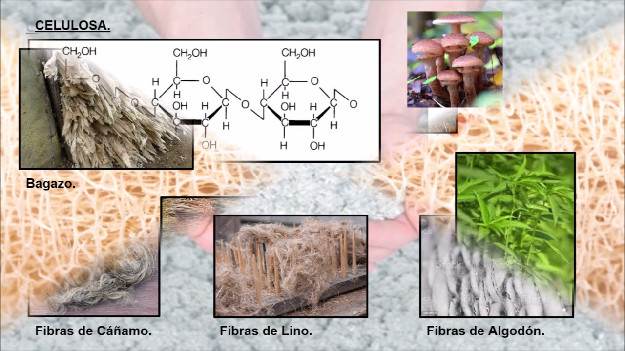 al límite puerta tallarines materia prima para hacer papel abrigo
