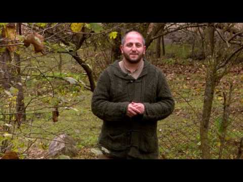 ეთნოფორი • etnopori (ანონსი/გადაცემა მეოთხმოცე) 29.12.2016წ.