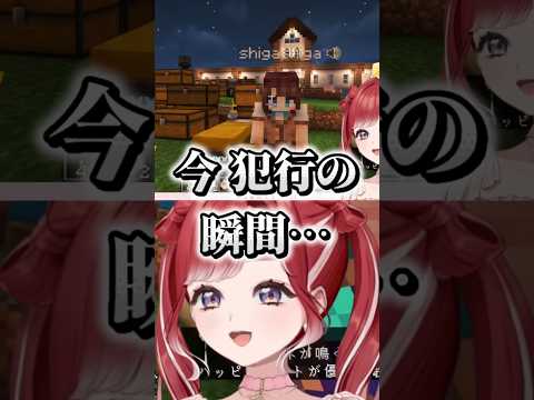 【あらなみマイクラ】犯行現場を早乙女ベリーに目撃されるしがりこ【にじさんじ/司賀りこ/早乙女ベリー】