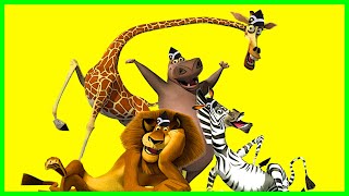 Madagascar - Coffin Dance