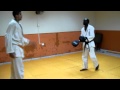 altonia karate
