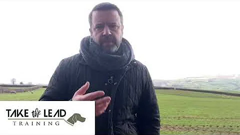 E-collars teach dogs to stop chasing sheep or other animals and increase responsible dog ownership