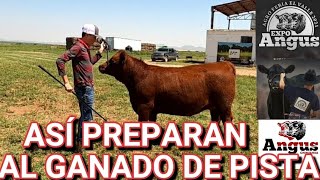 ¡¡VISITAMOS UN RANCHO ÚNICO EN MÉXICO!! "CENTRO DE GENÉTICA GANADERA LA CAMPANA"