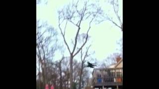 MOTHMAN CAUGHT ON CAMERA