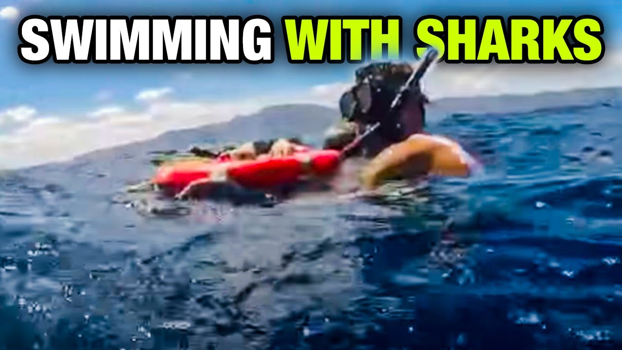 Swimming with sharks in the oceans of Hawaii with Ocean Ramsey YouTube