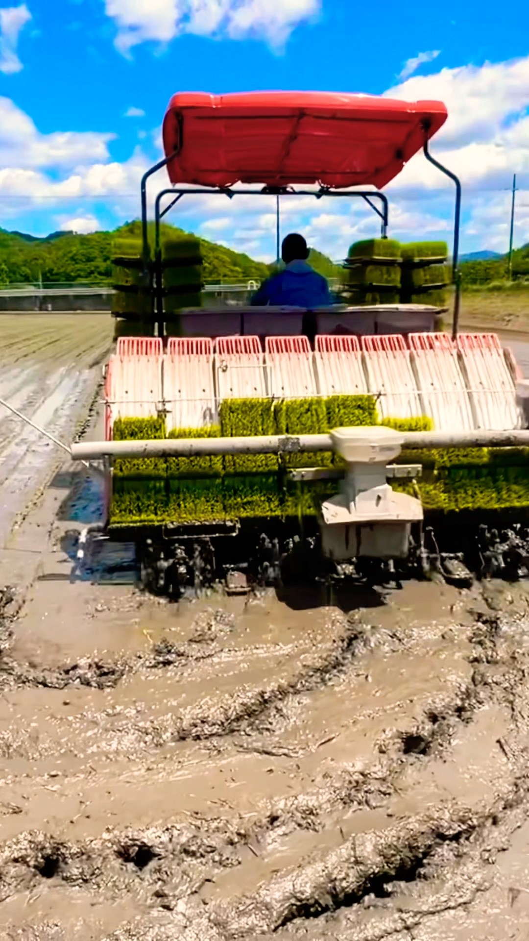 Kubota NW8S GS 田植え機 田植え作業#farming #現代農業 #automobile