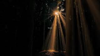 Harley's In Hawaii - Katy Perry || You and I  || English Song ❤