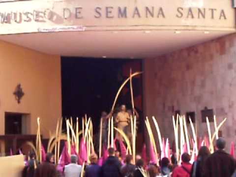 Real Cofradía de Jesús en su Entrada Triunfal en Jerusalén