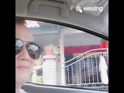 心甘情愿