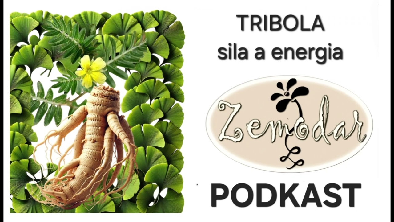 Tribola - Zmes tinktúr 100%, prírodný doplnok stravy. Podkast