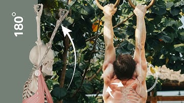 Mechanica van schoudermobiliteit en flexibiliteit