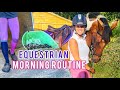 Equestrian morning routine  summer edition 