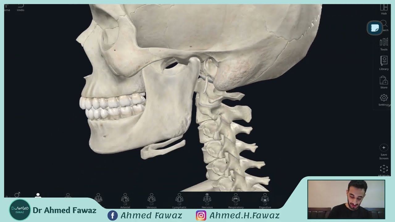 التشريح العام | الفصل الثاني _ العظام والمفاصل - المفاصل 2