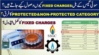 18. Fixed Charges|Protected Category|Non-Protected Category|SNGPL|SSGC|Hindi