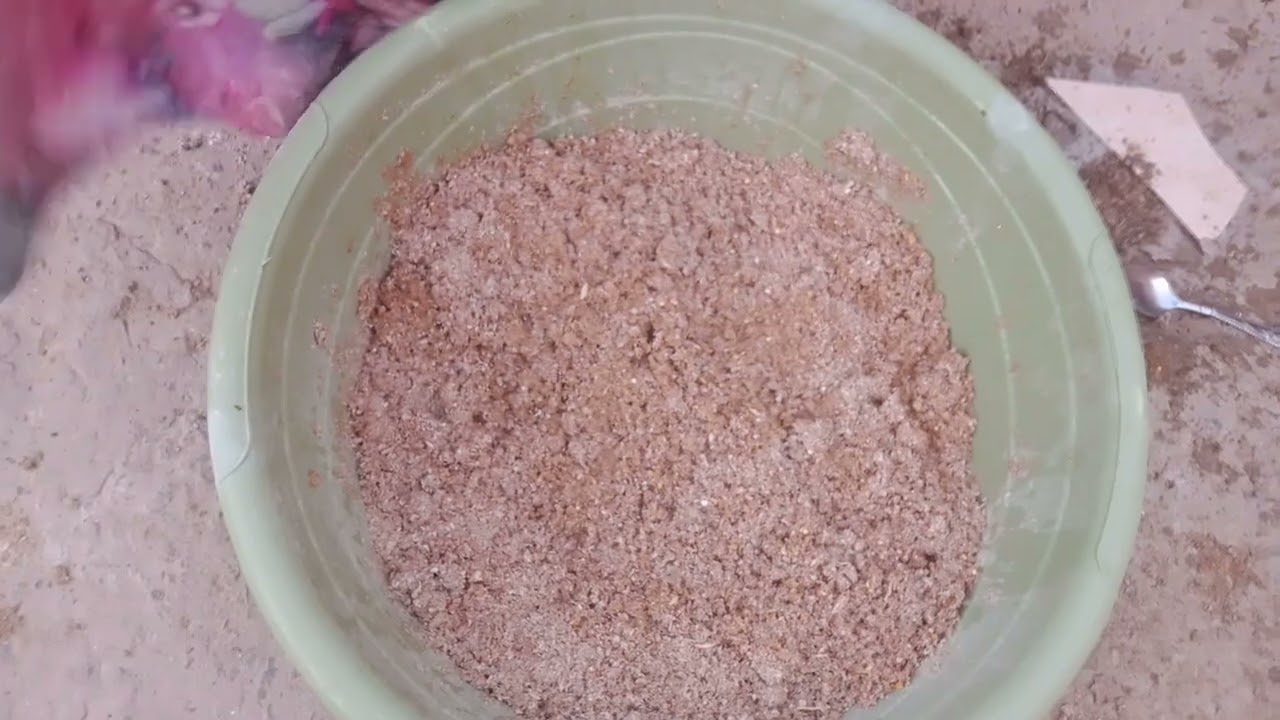 تنطيف كوري الدجاج الفيومي و فائدة زيت الدخان وكيفية تقديم الطعام للدجاج